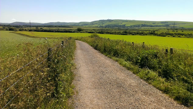Cycling in Sussex